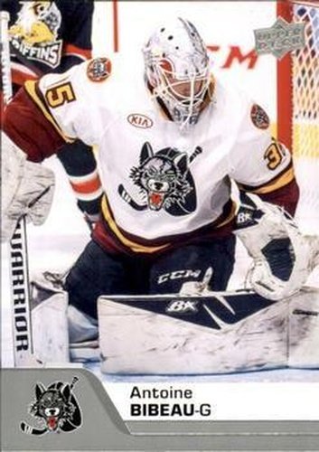 #14 Antoine Bibeau - Chicago Wolves - 2020-21 Upper Deck AHL Hockey