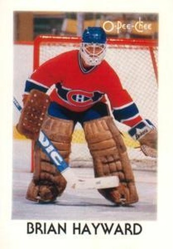 #15 Brian Hayward - Montreal Canadiens - 1987-88 O-Pee-Chee Minis Hockey