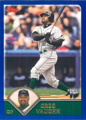 #162 Greg Vaughn - Tampa Bay Devil Rays - 2003 Topps Baseball