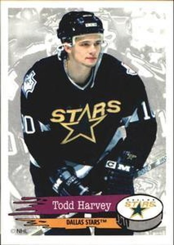 #169 Todd Harvey - Dallas Stars - 1995-96 Panini Hockey Stickers