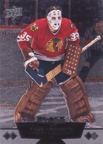 #175 Tony Esposito - Chicago Blackhawks - 2012-13 Upper Deck Black Diamond Hockey