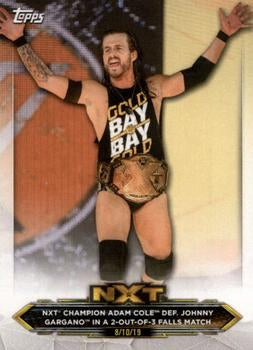 #17 Adam Cole / Johnny Gargano - 2020 Topps WWE NXT Wrestling