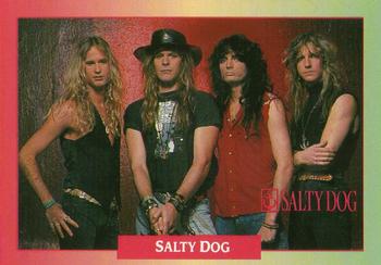 #191 Salty Dog / Checklist - 1991 Brockum Rock Cards
