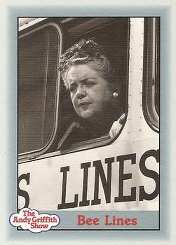 #196 Bee Lines - 1990-91 Pacific The Andy Griffith Show