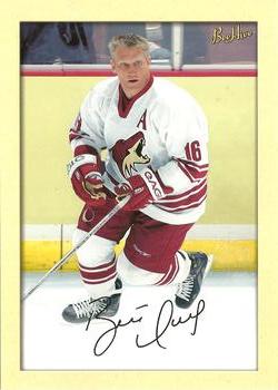 #208 Brett Hull - Phoenix Coyotes - 2005-06 Upper Deck Beehive Hockey