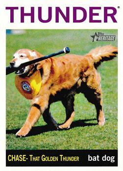 #212 CHASE That Golden Thunder - Trenton Thunder - 2013 Topps Heritage Minor League Baseball