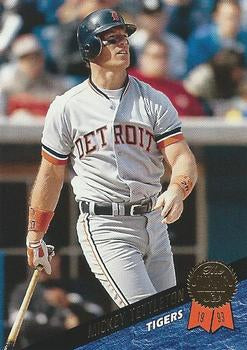 #213 Mickey Tettleton - Detroit Tigers - 1993 Leaf Baseball