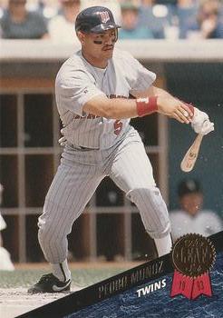 #219 Pedro Munoz - Minnesota Twins - 1993 Leaf Baseball