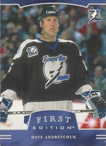 #222 Dave Andreychuk - Tampa Bay Lightning - 2002-03 Be a Player First Edition Hockey