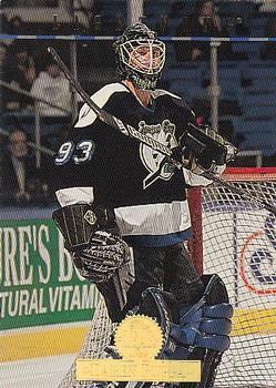 #224 Daren Puppa - Tampa Bay Lightning - 1994-95 Leaf Hockey