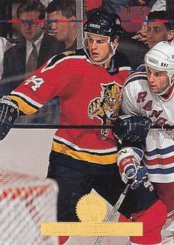#225 Rob Niedermayer - Florida Panthers - 1994-95 Leaf Hockey
