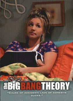 #22 "Cause of accident: lack of adhesive ducks." - 2013 Big Bang Theory Seasons 3 & 4