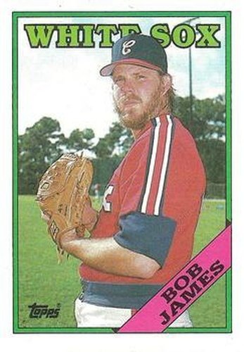 #232 Bob James - Chicago White Sox - 1988 Topps Baseball