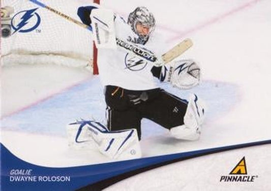 #235 Dwayne Roloson - Tampa Bay Lightning - 2011-12 Panini Pinnacle Hockey