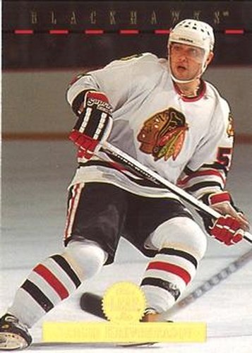 #238 Sergei Krivokrasov - Chicago Blackhawks - 1994-95 Leaf Hockey