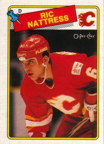 #238 Ric Nattress - Calgary Flames - 1988-89 O-Pee-Chee Hockey