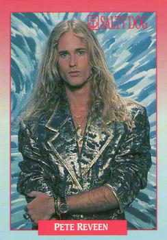 #243 Pete Reveen - 1991 Brockum Rock Cards