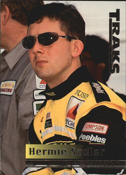 #24 Hermie Sadler - Sadler Racing - 1995 Traks Racing