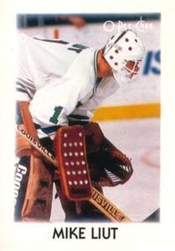 #24 Mike Liut - Hartford Whalers - 1987-88 O-Pee-Chee Minis Hockey