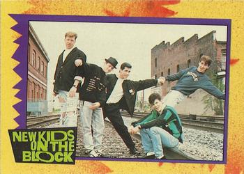 #24b New Kids Have This in Common... - 1989 Topps New Kids on the Block