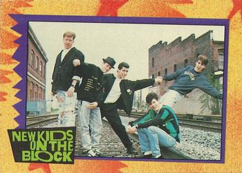 #24c New Kids Have This in Common... - 1989 Topps New Kids on the Block