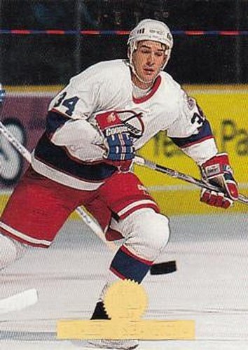 #251 Darrin Shannon - Winnipeg Jets - 1994-95 Leaf Hockey