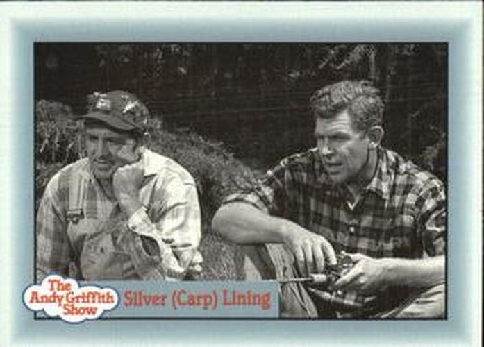 #264 Silver Carp Lining - 1990-91 Pacific The Andy Griffith Show