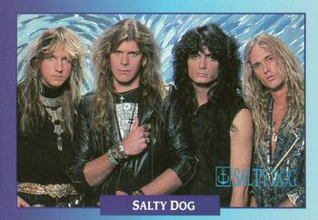 #264 Salty Dog - 1991 Brockum Rock Cards