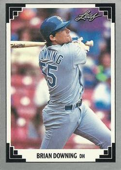 #269 Brian Downing - Texas Rangers - 1991 Leaf Baseball