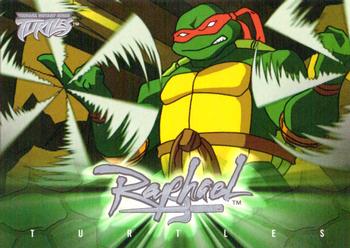 #26 Character Overview - 2003 Fleer Teenage Mutant Ninja Turtles