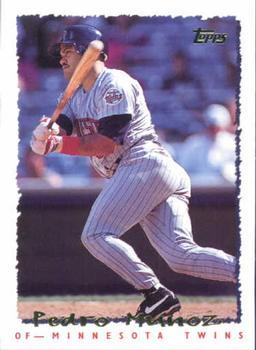 #274 Pedro Munoz - Minnesota Twins - 1995 Topps Baseball