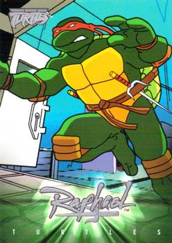 #27 Renaissance Namesake - 2003 Fleer Teenage Mutant Ninja Turtles