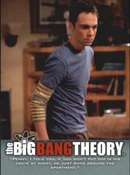 #27 "Penny, I told you, if you don't put him in his cr - 2013 Big Bang Theory Seasons 3 & 4