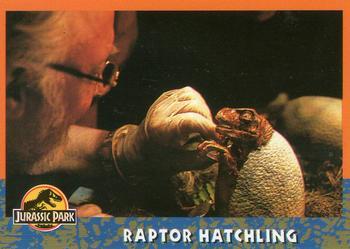 #27 Raptor Hatchling - 1993 Topps Jurassic Park