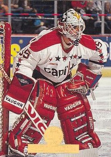 #283 Byron Dafoe - Washington Capitals - 1994-95 Leaf Hockey