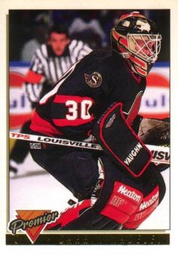 #283 Darrin Madeley - Ottawa Senators - 1993-94 O-Pee-Chee Premier Hockey - Gold