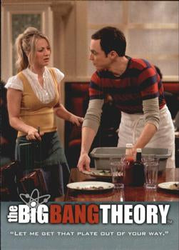 #28 "Let me get that plate out of your way." - 2013 Big Bang Theory Seasons 3 & 4