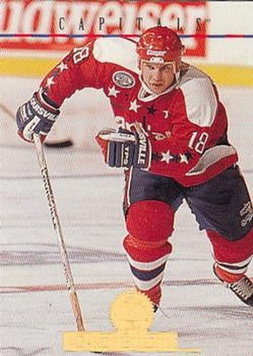 #291 Randy Burridge - Washington Capitals - 1994-95 Leaf Hockey