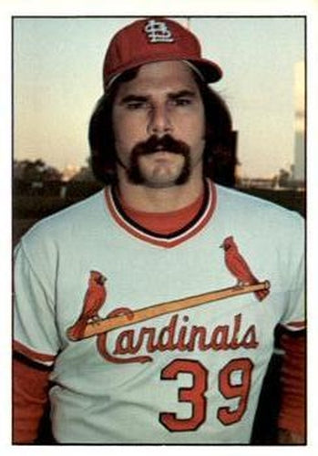 #291 Al Hrabosky - St. Louis Cardinals - 1976 SSPC Baseball
