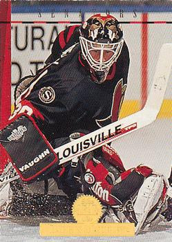 #300 Darrin Madeley - Ottawa Senators - 1994-95 Leaf Hockey