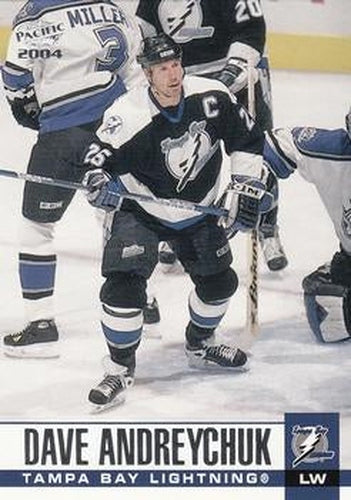 #303 Dave Andreychuk - Tampa Bay Lightning - 2003-04 Pacific Hockey