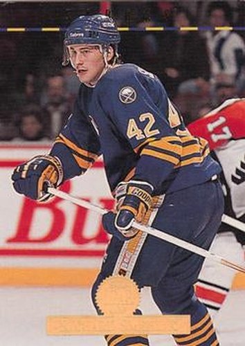 #306 Richard Smehlik - Buffalo Sabres - 1994-95 Leaf Hockey