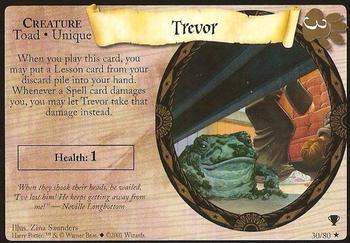 #30 Trevor - 2001 Harry Potter Quidditch cup