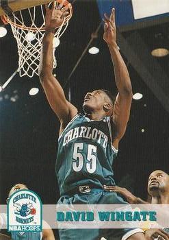 #310 David Wingate - Charlotte Hornets - 1993-94 Hoops Basketball