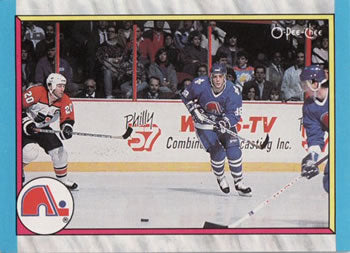 #313 Quebec Nordiques - Quebec Nordiques - 1989-90 O-Pee-Chee Hockey