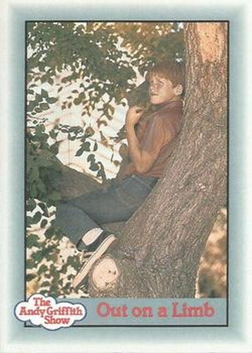 #316 Out on a Limb - 1990-91 Pacific The Andy Griffith Show