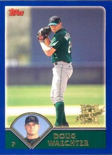 #317 Doug Waechter - Tampa Bay Devil Rays - 2003 Topps Baseball