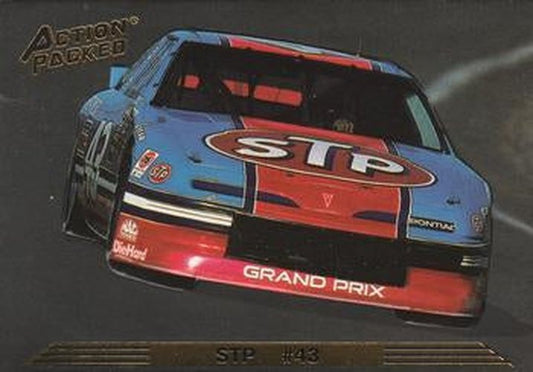 #31 Richard Petty's Car - Petty Enterprises - 1993 Action Packed Racing