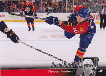 #328 David Booth - Florida Panthers - 2010-11 Upper Deck Hockey