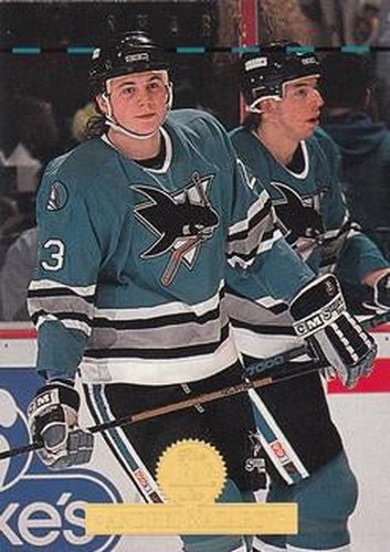#328 Andrei Nazarov - San Jose Sharks - 1994-95 Leaf Hockey
